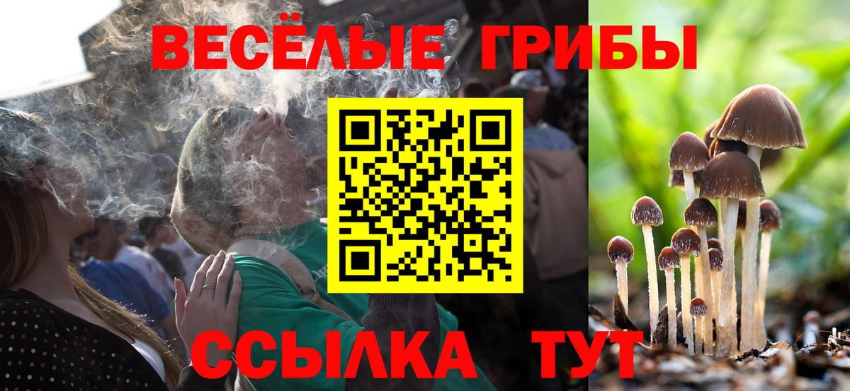 Жуковский  Галлюциногенные грибы Psilocybe  Вход с VPN  Галлюциногенные грибы Psilocybe 